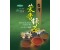 Taiwan Jasmine Green Tea  